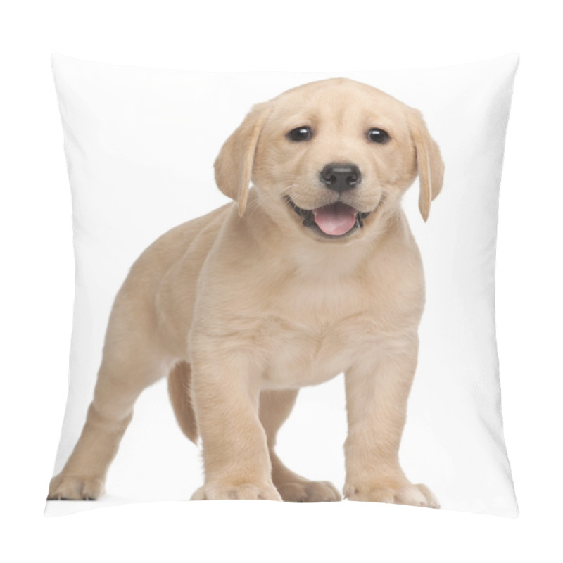 Personality  Labrador Puppy, 7 Weeks Old, In Front Of White Background Pillow Covers