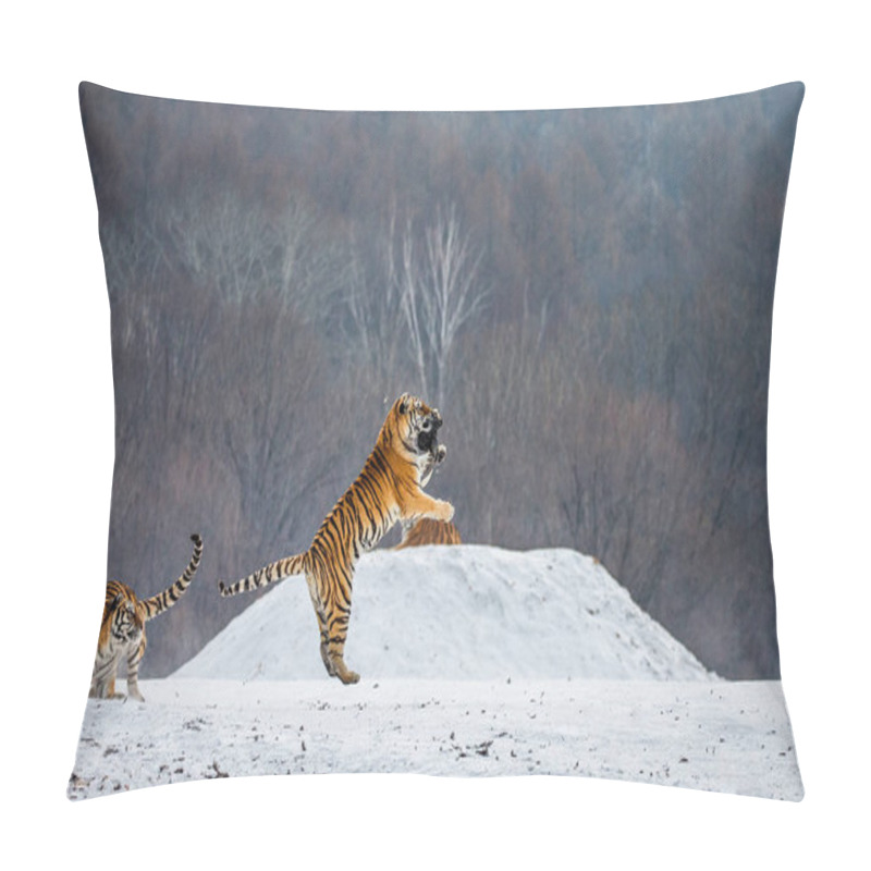 Personality  Siberian Tiger Catching Prey In Jump In Wintry Forest Glade, Siberian Tiger Park, Hengdaohezi Park, Mudanjiang Province, Harbin, China.  Pillow Covers