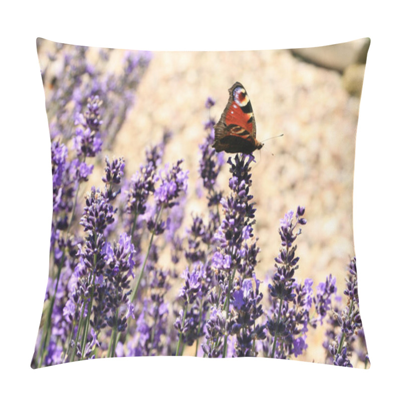 Personality  Butterfly Aglais Io On Flower, Macro. Peacock Butterfly Pollinating Lavender In Eco, Rustic, Home Garden. Pillow Covers