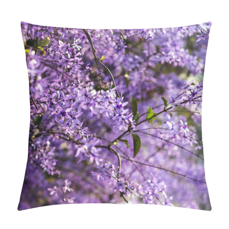 Personality  Petrea Volubilis Is Also Known As Purple Wreath, Queen's Wreath, Or Sandpaper Vine. A Flowering Evergreen That Prefers Full Sun. Pillow Covers