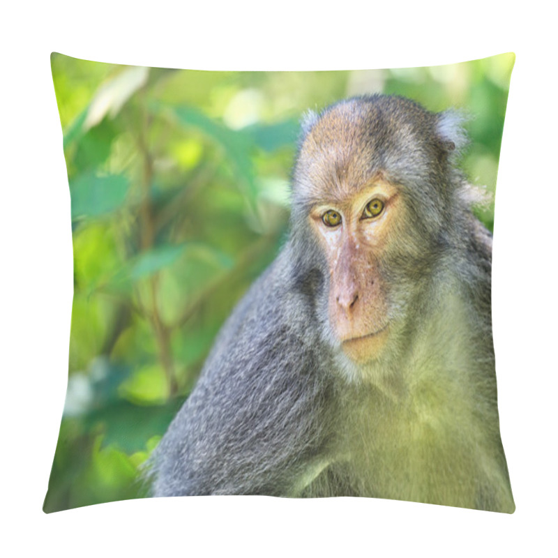 Personality  Monkey Mother And Baby In Natural Pillow Covers