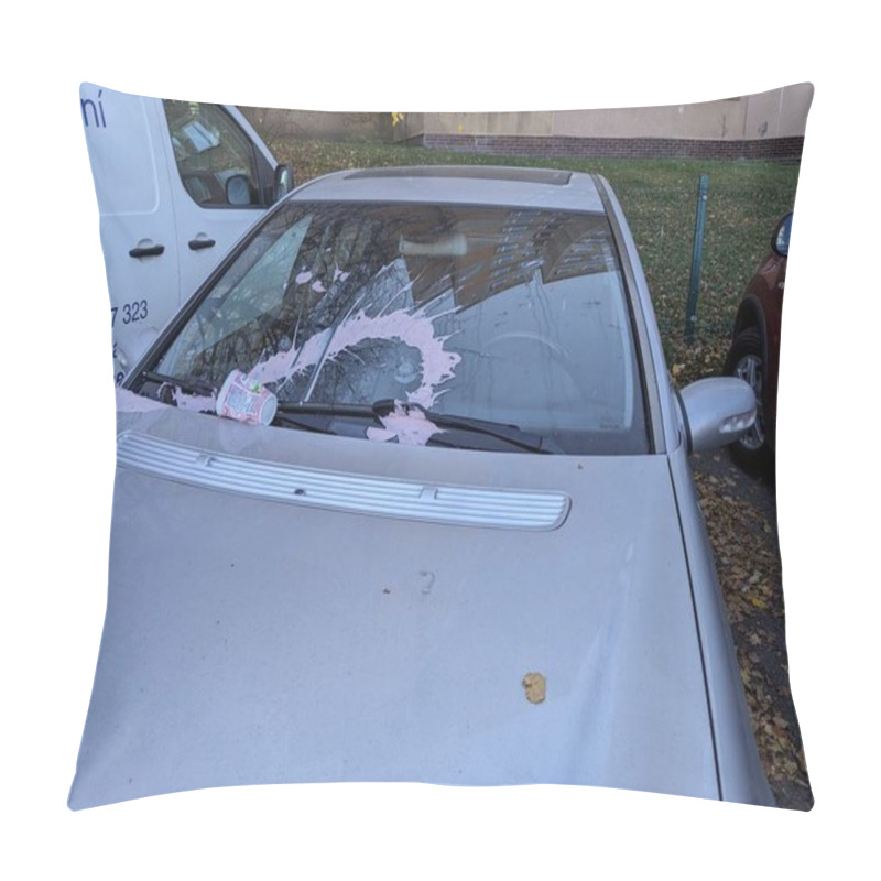 Personality  Revenge Of An Angry Partner After Divorce With A Yoghurt Split Over A Car Windshield, Dirty Glass, Ex Partner Hassles Pillow Covers