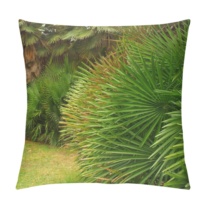 Personality  Tropical Plants In A Park Pillow Covers