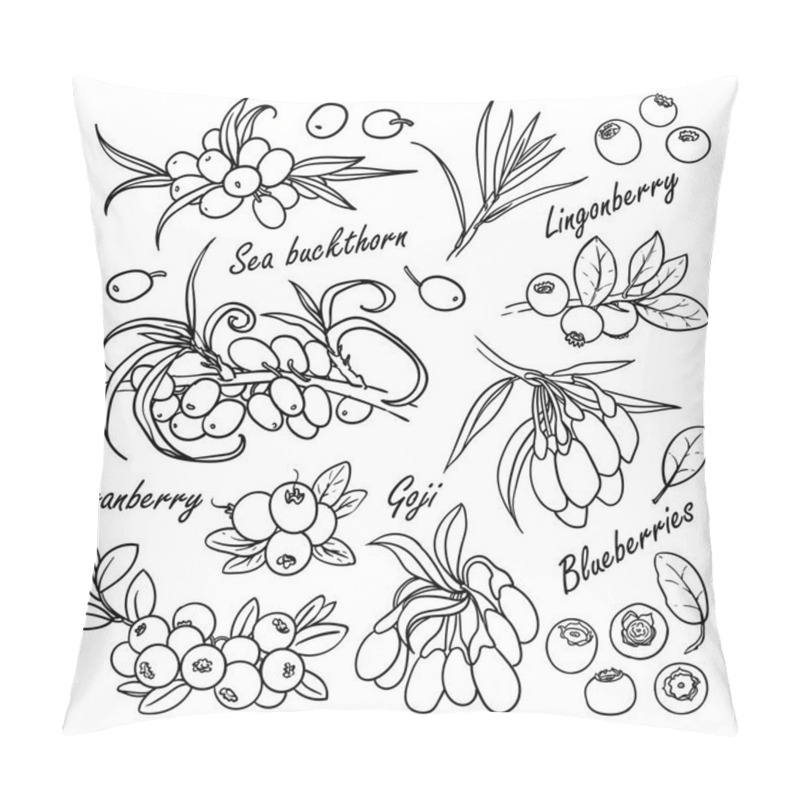 Personality  Collection Of Berries: Sea Buckthorn, Lingonberry, Cranberry, Goji, Blueberrie, Bilberry, Mooseberry Isolated On White Pillow Covers