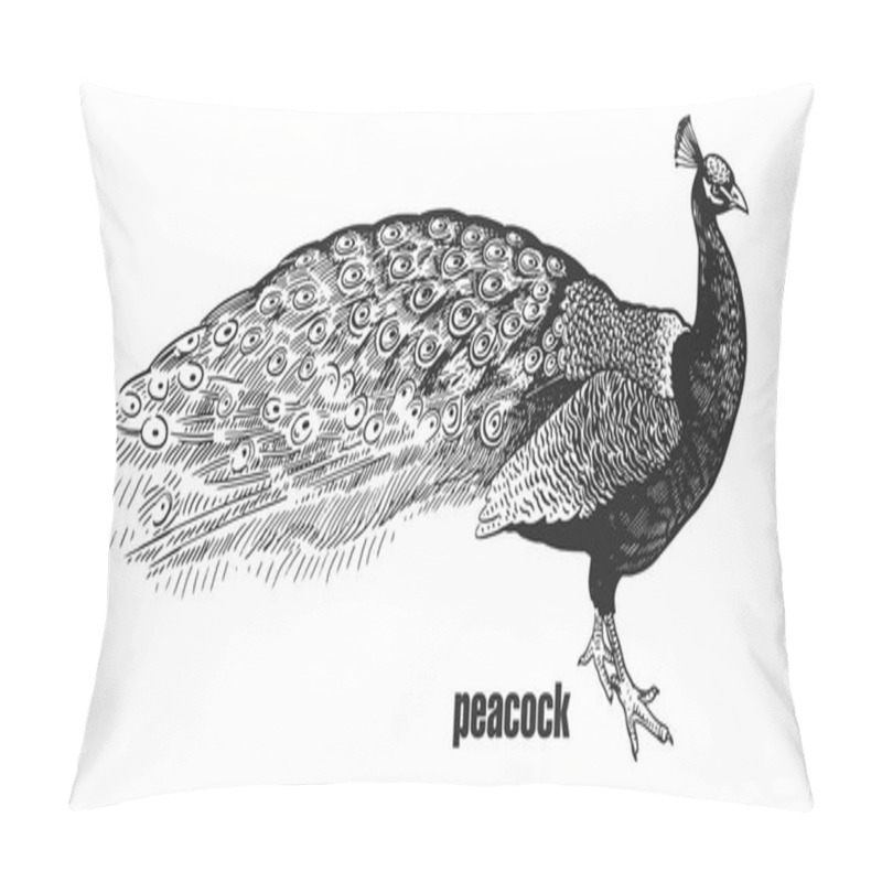 Personality  Peacock. Hand Drawing Of Bird From Wild. Black Figure On White Background. Vector Illustration. Vintage Engraving Style. Realistic Isolated Figure Of Bird With Beautiful Plumage. Nature Concept. Pillow Covers