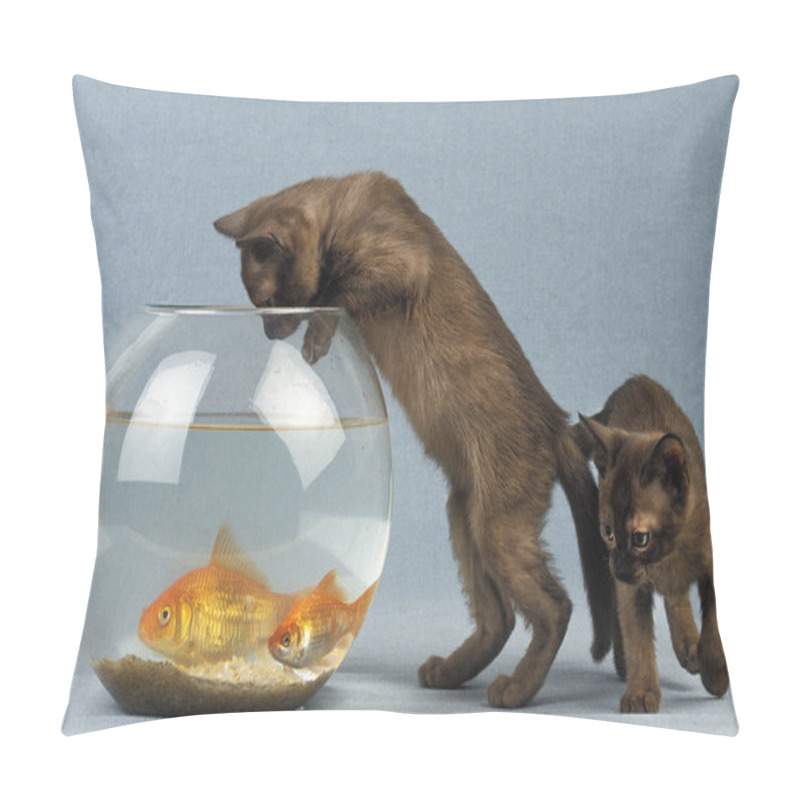 Personality  Zibeline Burmese Domestic Kitten And Goldfishes, Carassius Auratus   Pillow Covers