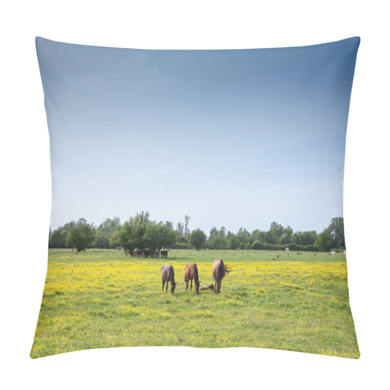 Personality  Horses Graze Peacefully On A Pasture In Zasavica, Vojvodina, Serbia Eating And Grazing Grass In A Traditional Rural Farm Landscape. Equidae Are A Symbol Of Countryside Animals. Pillow Covers