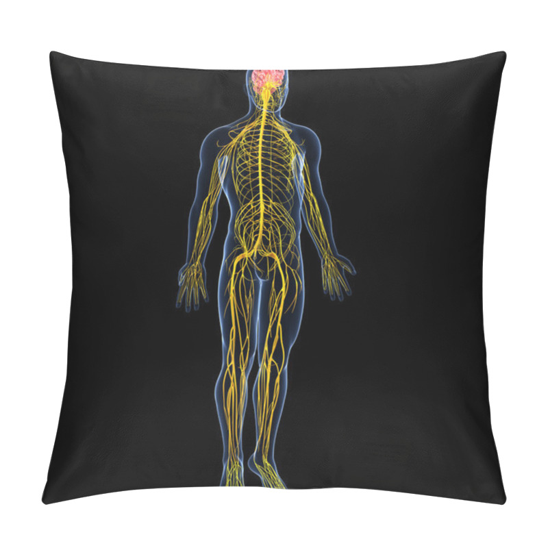 Personality  View Of Male Nervous System Pillow Covers