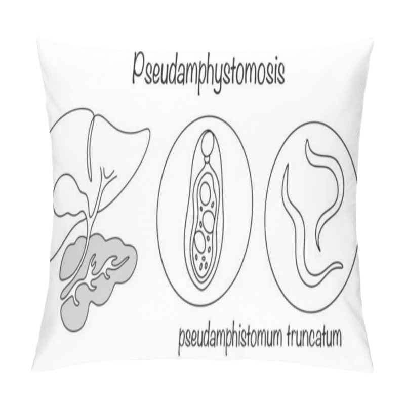 Personality  A Parasitic Disease Caused By Trematodes That Infect The Bile Ducts And Sometimes The Pancreas Of Humans And Animals. Infection Occurs Through Consumption Of Infected Fish. Black And White Vector. Pillow Covers