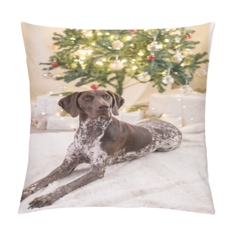 Personality  Dog Laying Down In Front Of Christmas Tree Pillow Covers