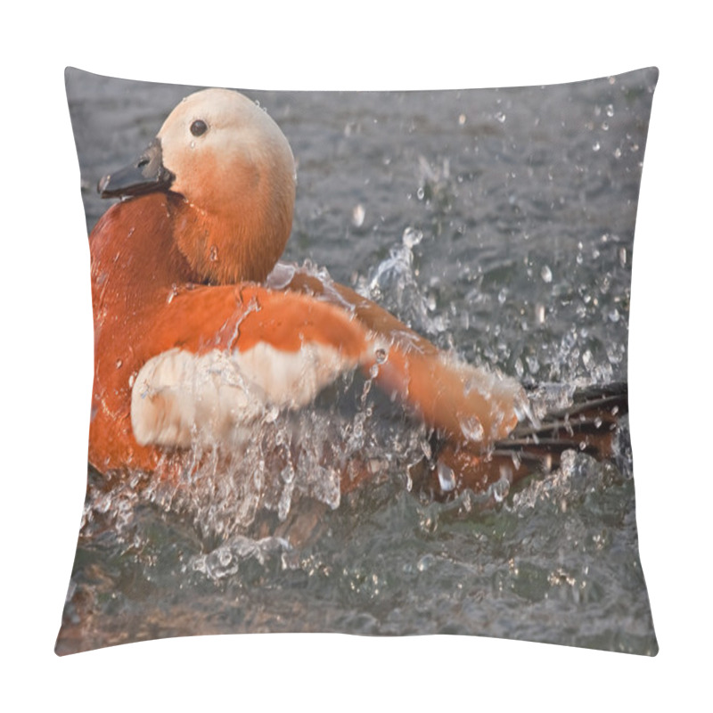 Personality  Ruddy Shelduck (Tadorna Ferruginea) Pillow Covers