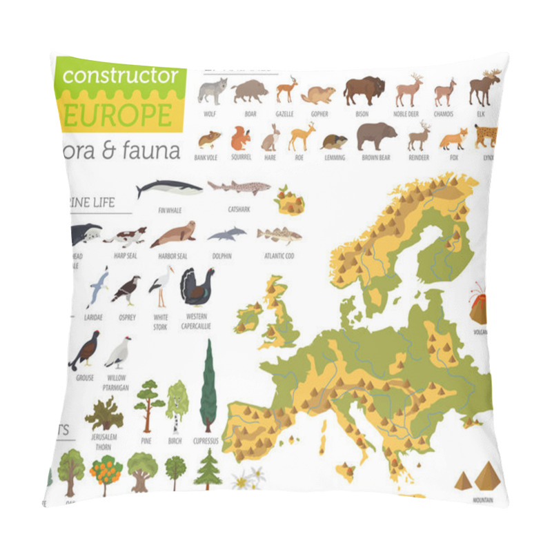 Personality  Flat European Flora And Fauna Map Constructor Elements. Animals, Pillow Covers