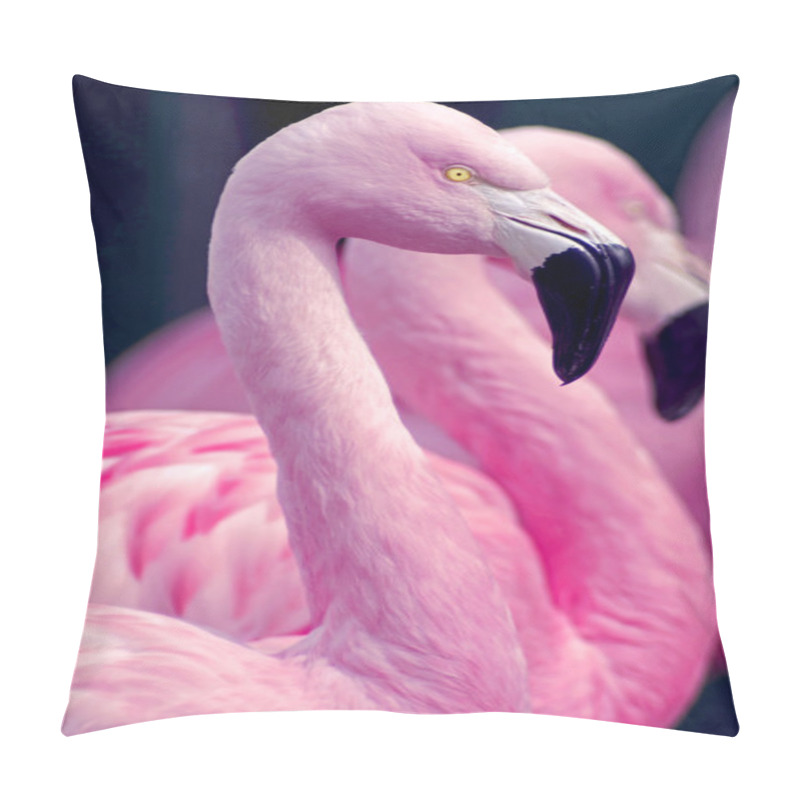 Personality  Three Flamingos Pillow Covers