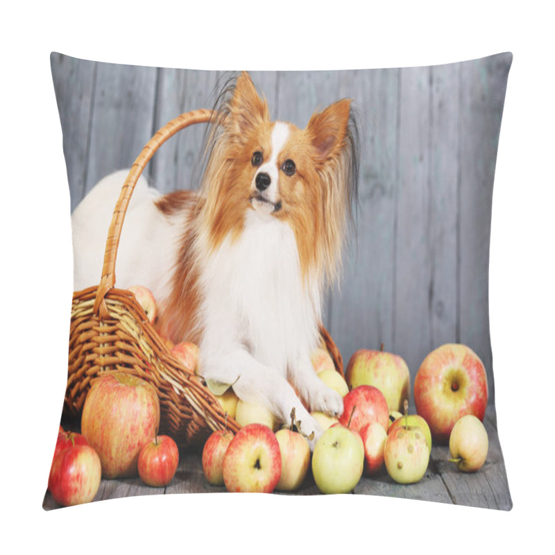 Personality  Doggie Breed Papillon. Dog In A Basket With Apples Pillow Covers