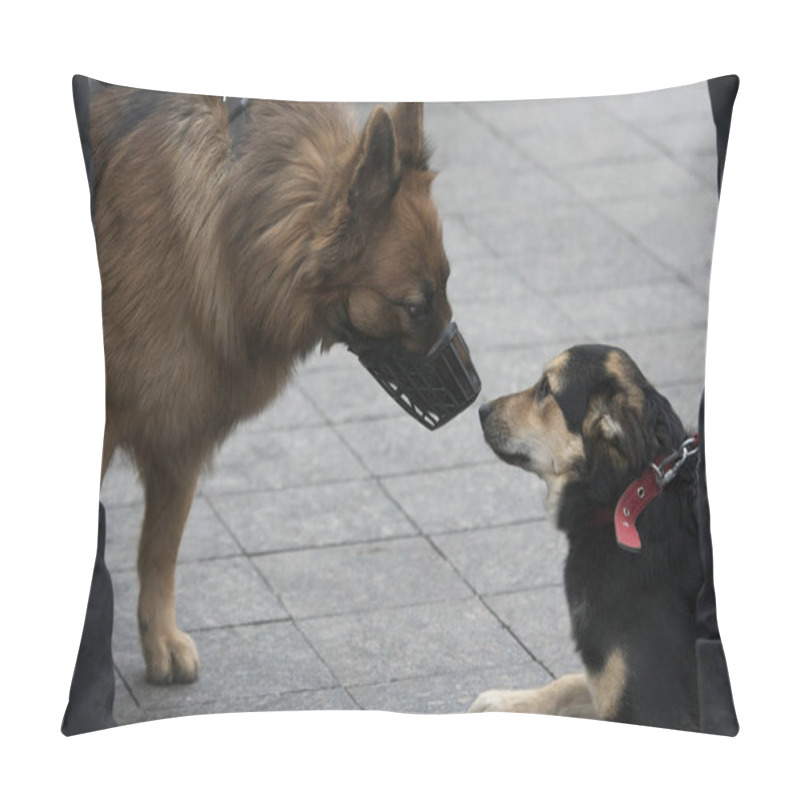 Personality  Dogs Sniffing Each Other Pillow Covers