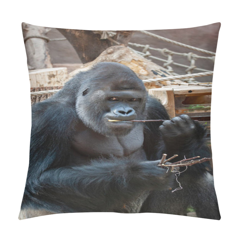 Personality  Wild Adult Black Gorilla Eats A Wooden Twig In The Park During The Day Pillow Covers