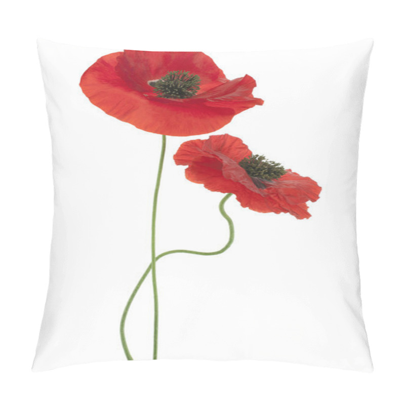 Personality  Poppy Pillow Covers