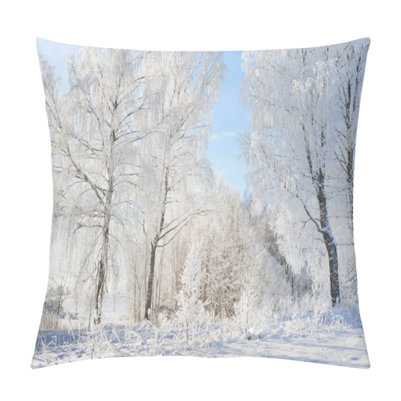 Personality  Birch Trees In Rime On A Winter Day Pillow Covers