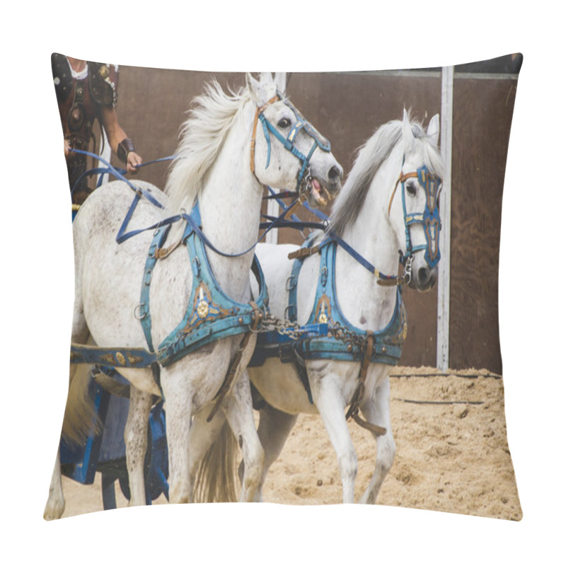 Personality  Roman Chariot On Gladiators Fight Pillow Covers