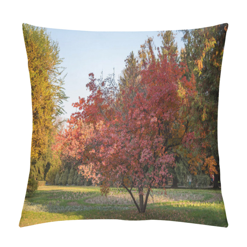 Personality  A Serene Park In Autumn, With A Striking Red Maple In Full Seasonal Color Amid Green And Yellowing Trees Under A Clear Sky, Signals Mid-fall. Pillow Covers