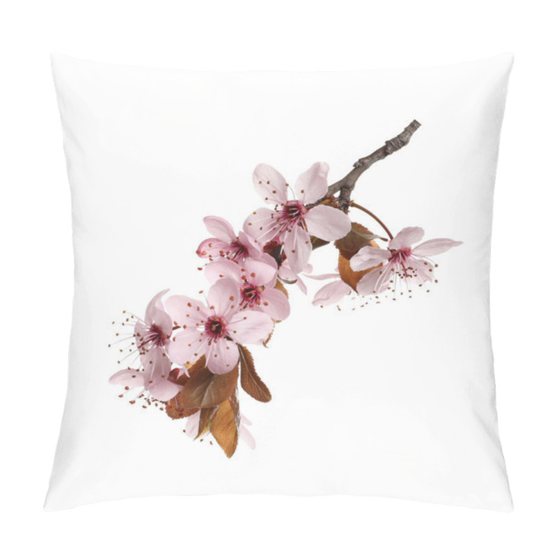 Personality  Cherry Tree Branch With Beautiful Pink Blossoms Isolated On White Pillow Covers