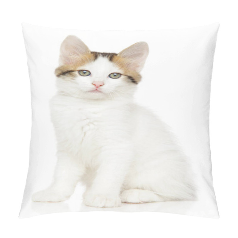 Personality  Portrait Of A Young Turkish Angora Kitten Pillow Covers