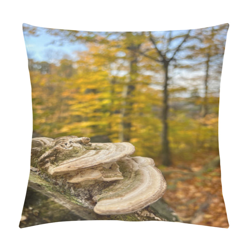 Personality  Tree Mushrooms On A Tree In The Autumn Forest. Wild Forest Flora Pillow Covers