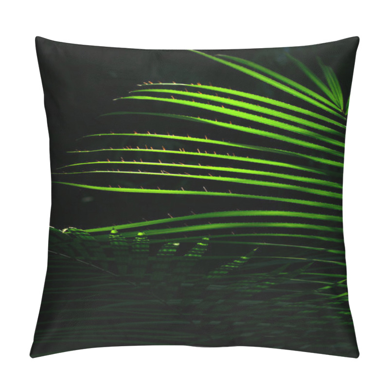 Personality  The Sun Shining Through The Leaves Of Palm Leaves In The Jungle Pillow Covers