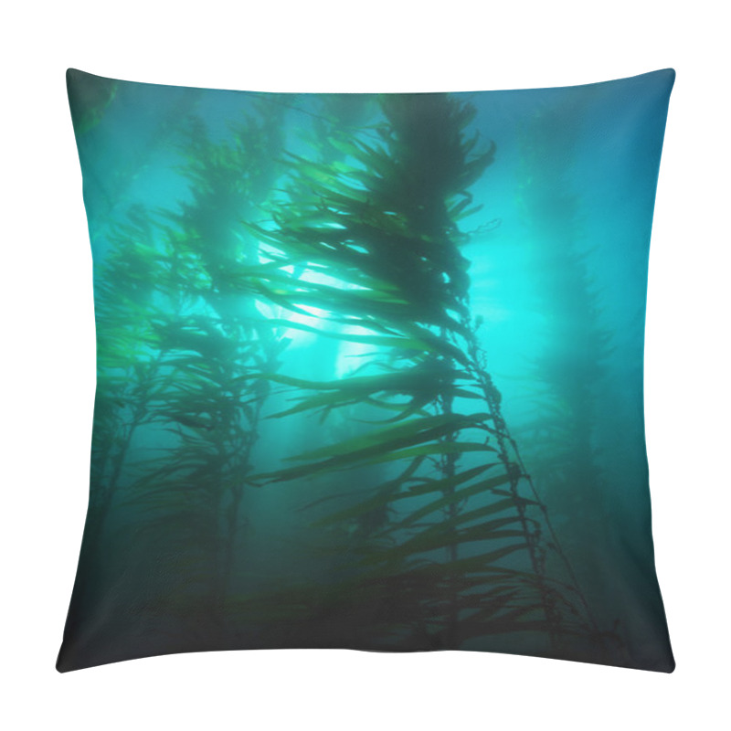 Personality  Kelp Bed Pillow Covers