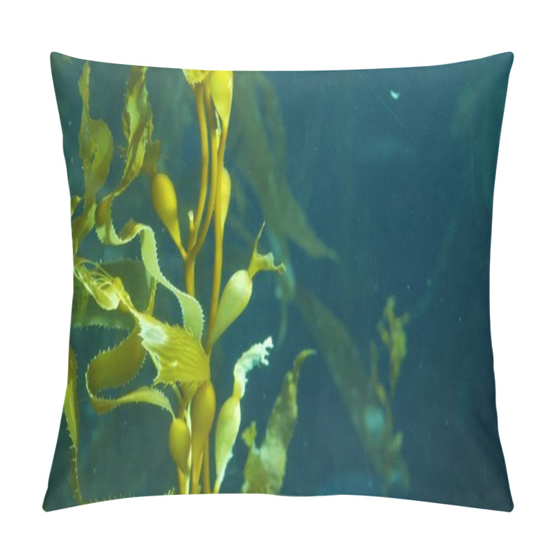 Personality  Underwater Seamless Looped Close Up Of Swaying Giant Kelp Forest. Sun Rays Through Jade Green Seaweed Leaves. Diving, Aquarium And Marine Concept. Sunlight Pierces Emerald Vibrant Exotic Ocean Plant. Pillow Covers