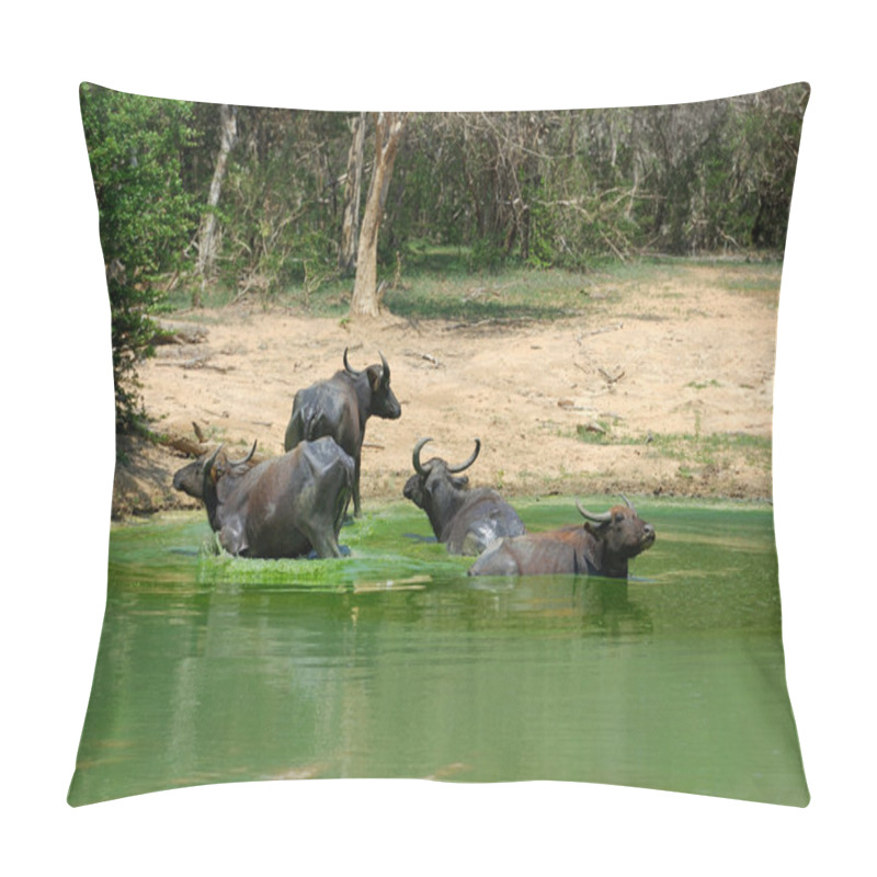 Personality  Water Buffalo Are Bathing In A Lake Pillow Covers