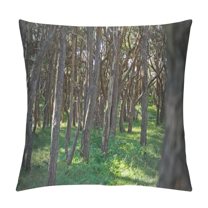 Personality  Forest On The Skerry Island Of Roeroe Pillow Covers