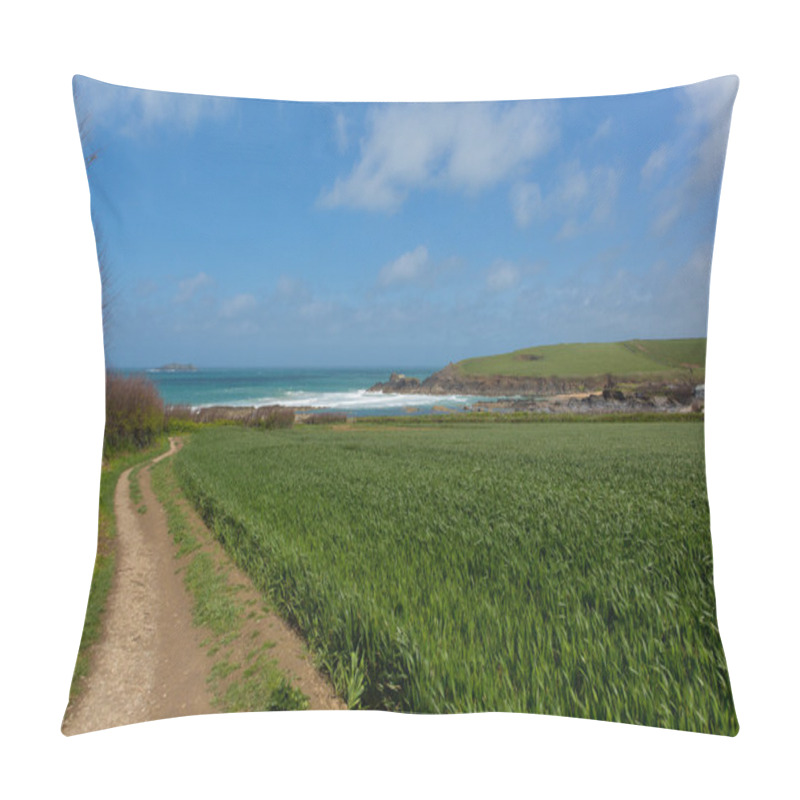 Personality  South West Coast Path Newtrain Bay North Cornwall Near Padstow And Newquay Rocky Coast And On The South West Coastal Path In Spring With Blue Sky And Sea Pillow Covers