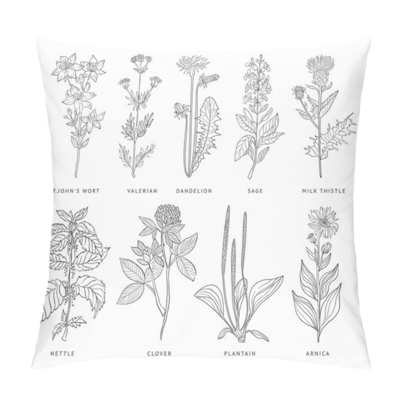 Personality  Medical Herbs Vector Set. Pillow Covers