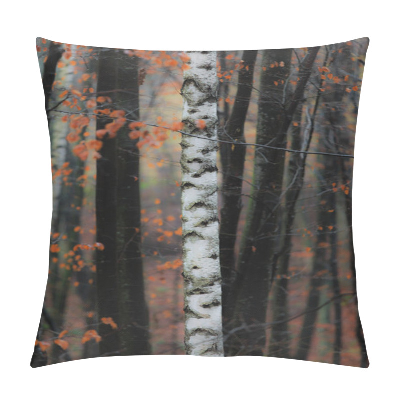 Personality  Autumn Scenery In The Forest Pillow Covers