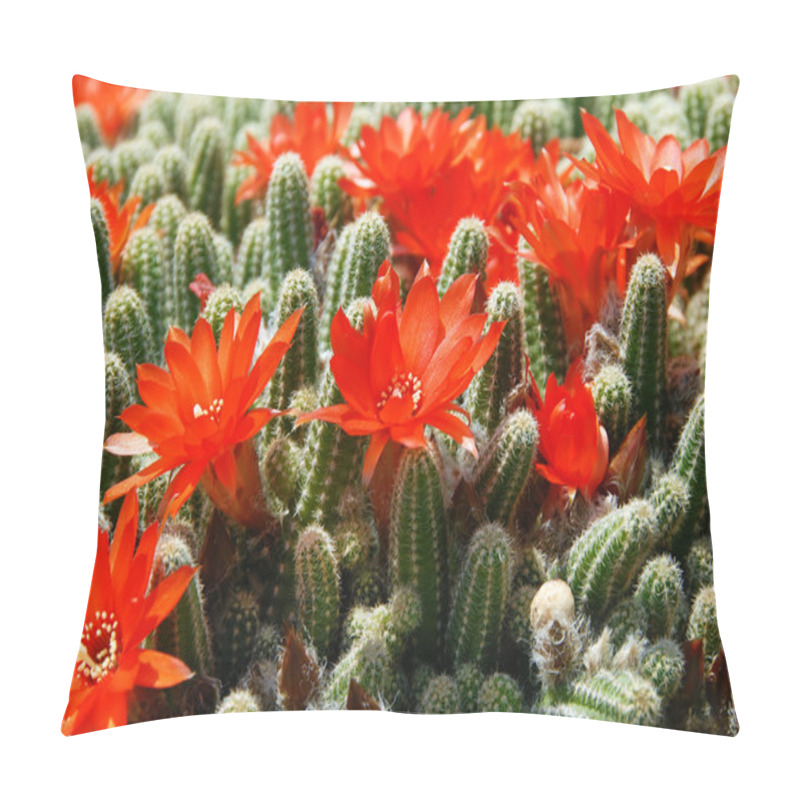 Personality  Cactus Red Flowers Pillow Covers