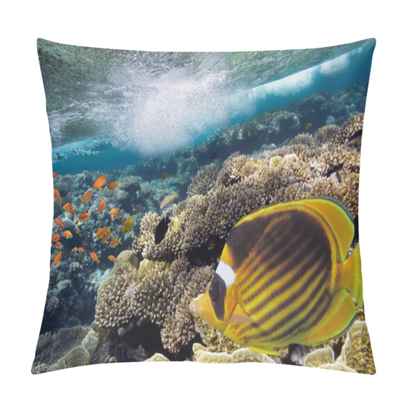 Personality  Photo Of A Coral Colony On A Reef Top Pillow Covers