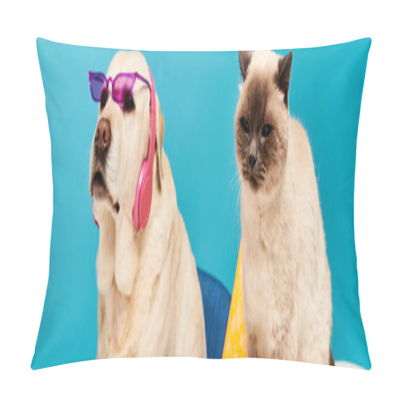 Personality  A Cat And A Dog Wearing Sunglasses, Pose Against A Blue Background In A Trendy Studio Setting. Pillow Covers