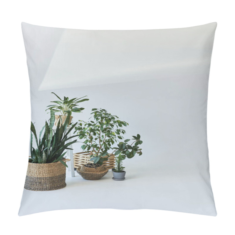 Personality  Green Plants In Pots On White Backdrop. Pillow Covers