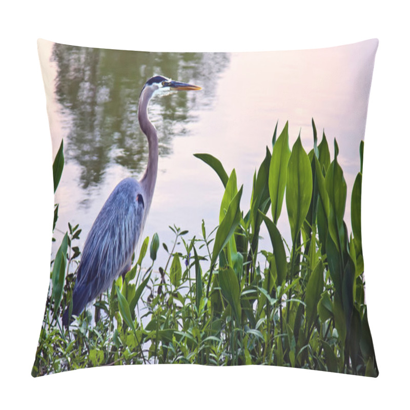 Personality  Great Blue Heron Pillow Covers