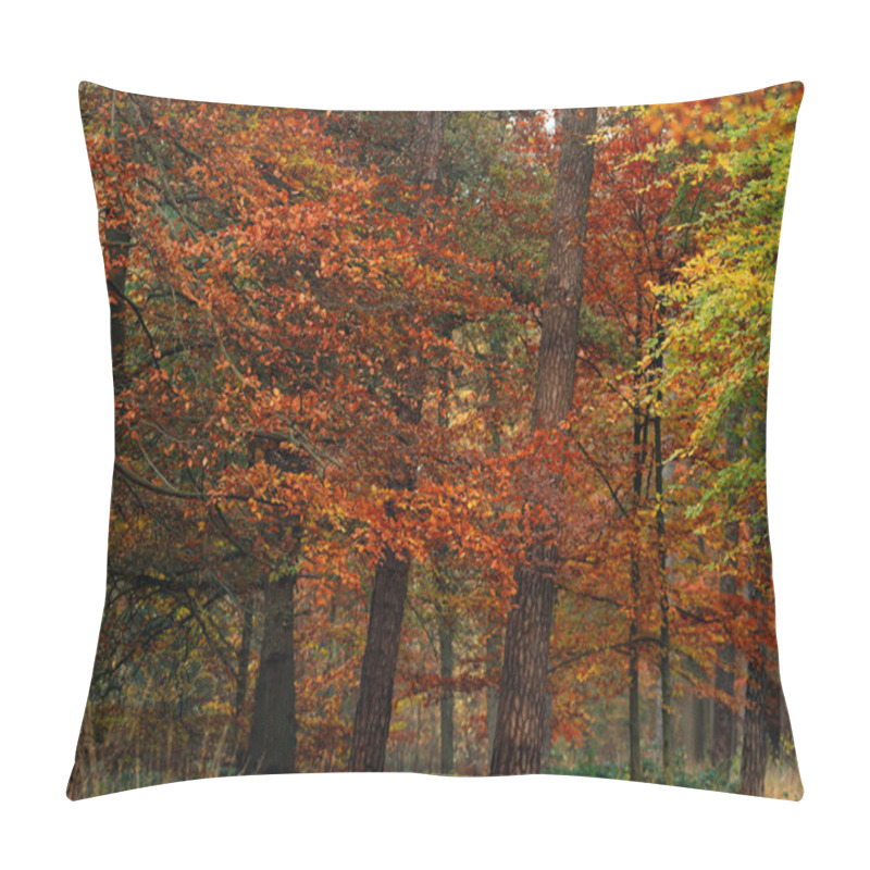 Personality  Yellow, Orange And Red Foliage In Fall Forest. Pillow Covers