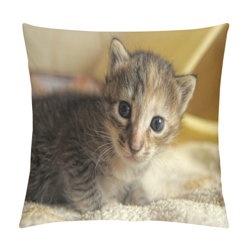 Personality  Little Kitty Pillow Covers