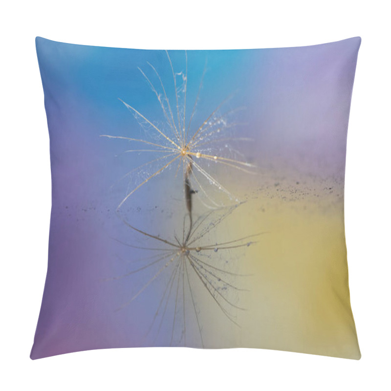 Personality  Detail Of Tiny Dandelion Seed Pillow Covers