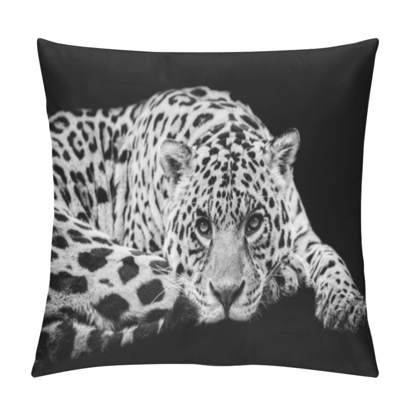 Personality  Jaguar With A Black Background In B&W Pillow Covers