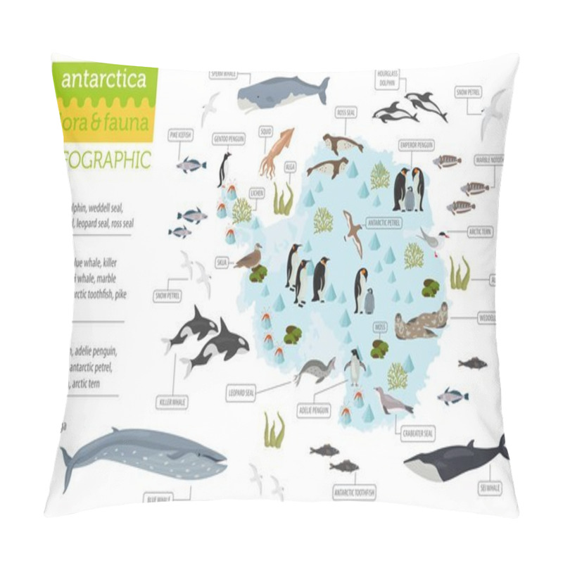 Personality  Antarctic, Antarctica,  Flora And Fauna Map, Flat Elements. Anim Pillow Covers