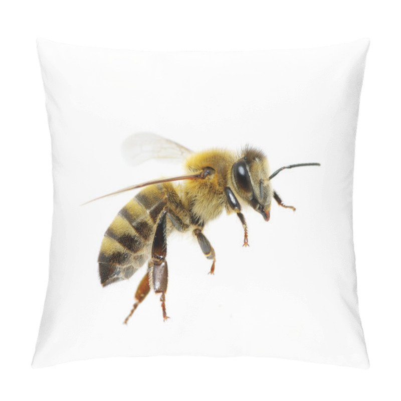 Personality  Bee On The White Pillow Covers