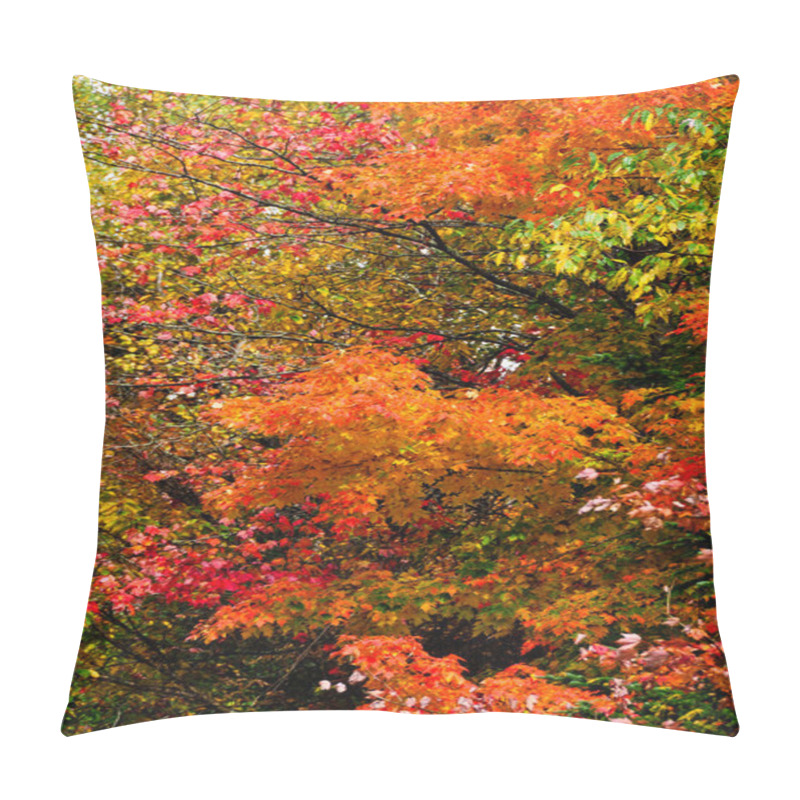 Personality  Fall Leaves Pillow Covers