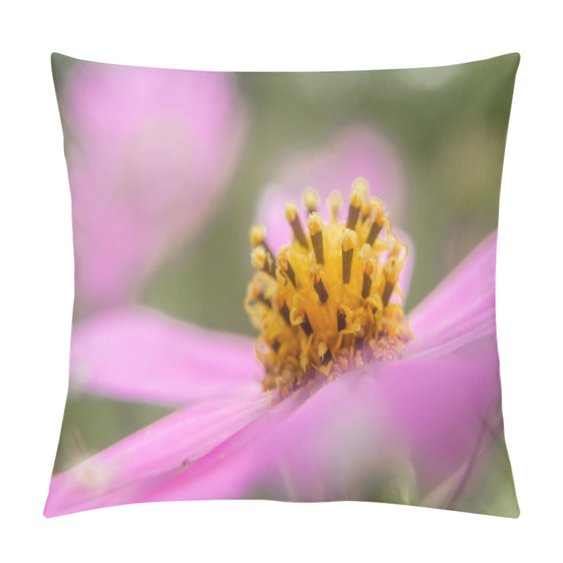 Personality  Delve Into The Delicate Beauty Of A Tender Pink Cosmos Flower In This Exquisite Close-up Photo, Capturing The Intricate Details Of Nature's Floral Charm Pillow Covers