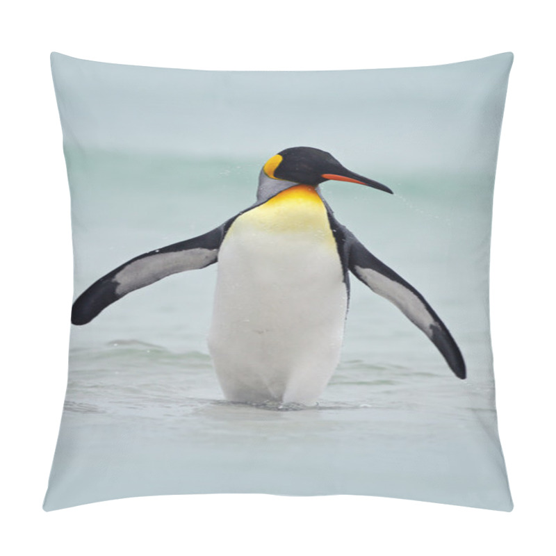 Personality  King Penguin On Ocean Cost Pillow Covers