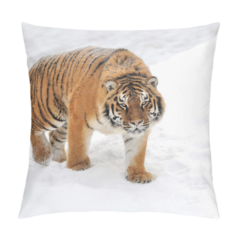 Personality  Tiger Pillow Covers